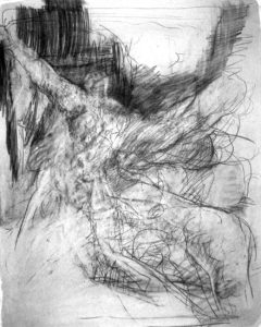 12) UNTITLED Graphite on paper 38