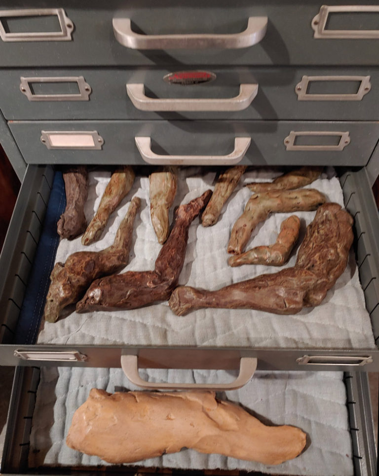 Drawer of terra-cotta fragments, sculpture, Ed Smith